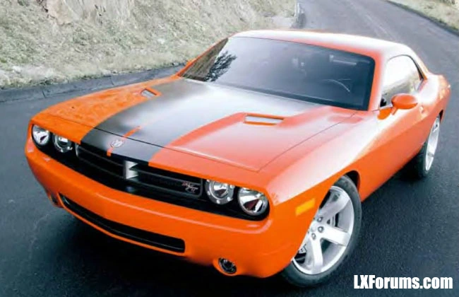 front_14.webp