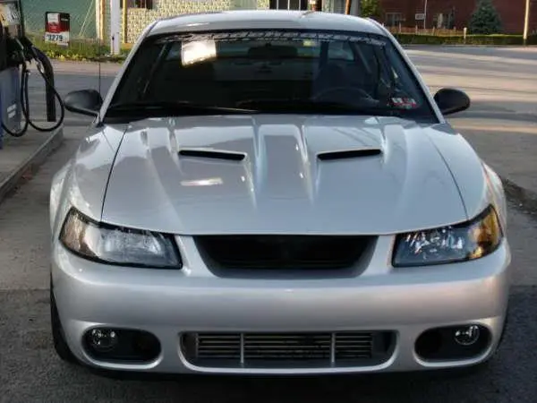 frontnopony.webp