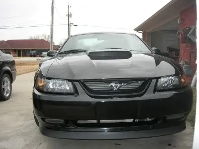 frontofcar.webp