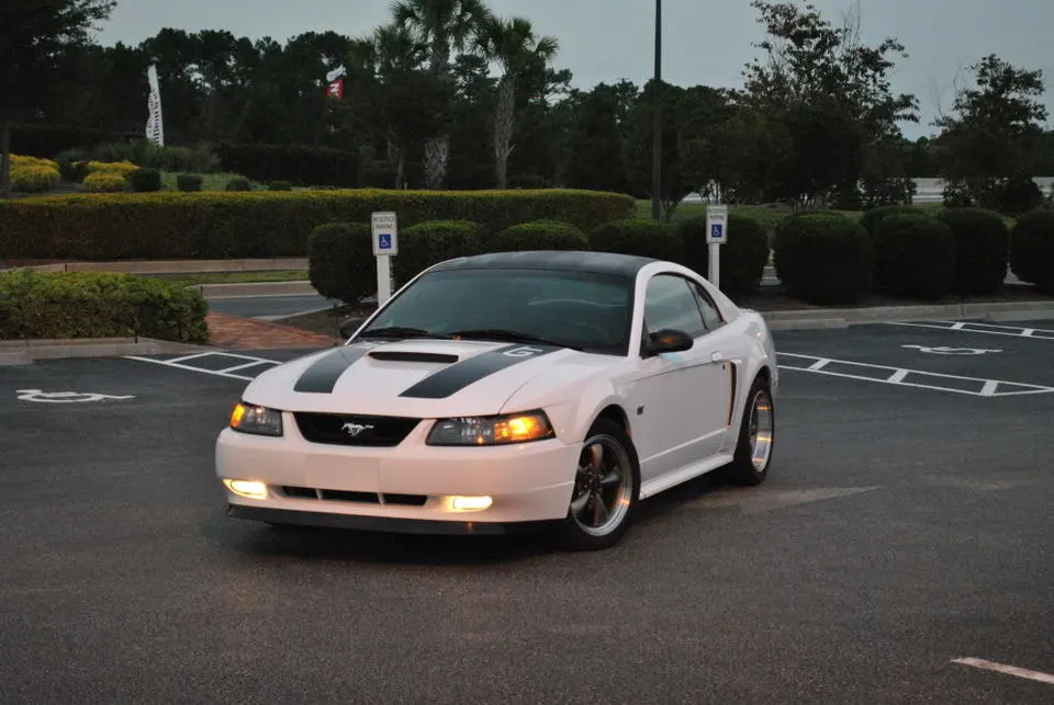 Frontshot1.webp