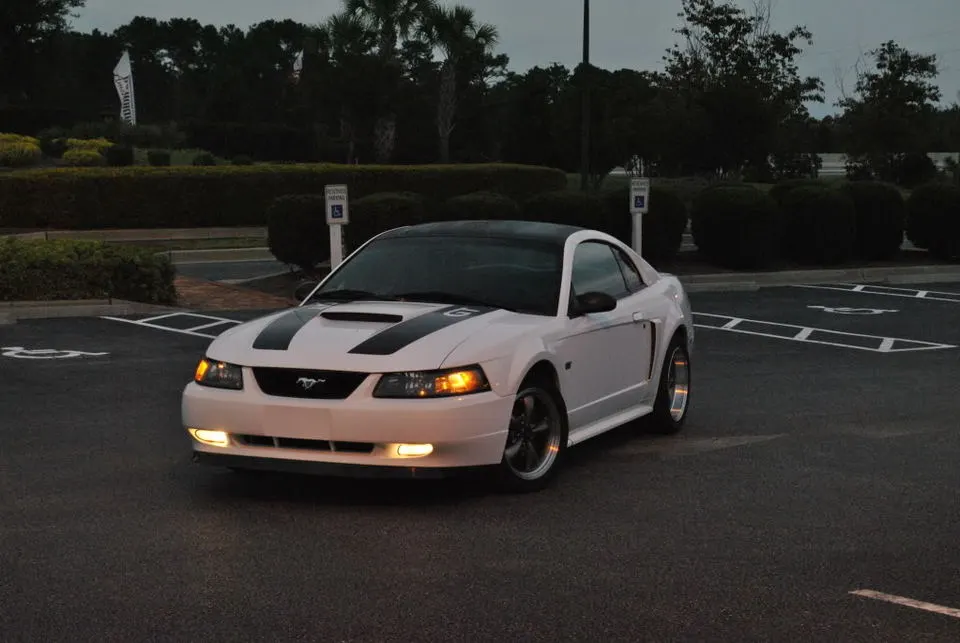 Frontshot2.webp