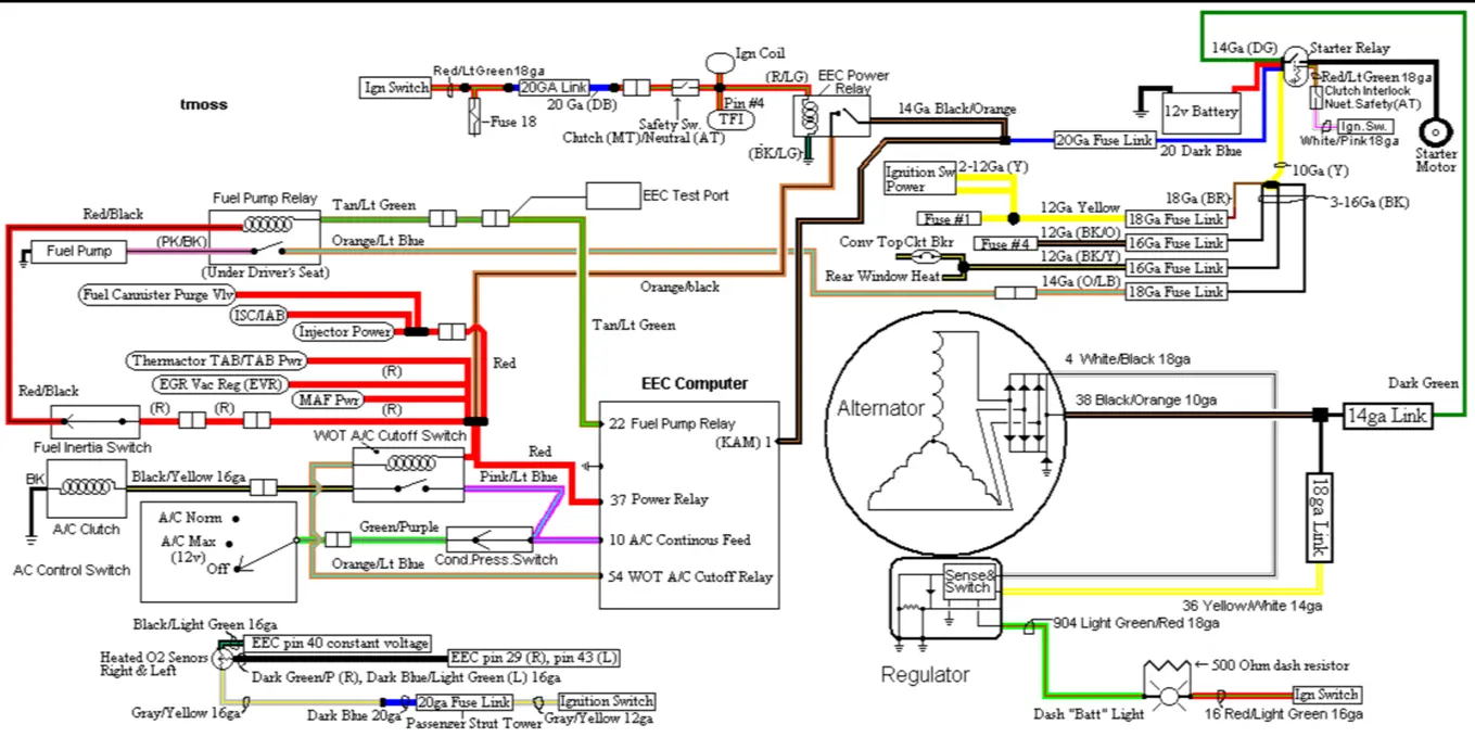 Fuel Wiring Diagram.webp