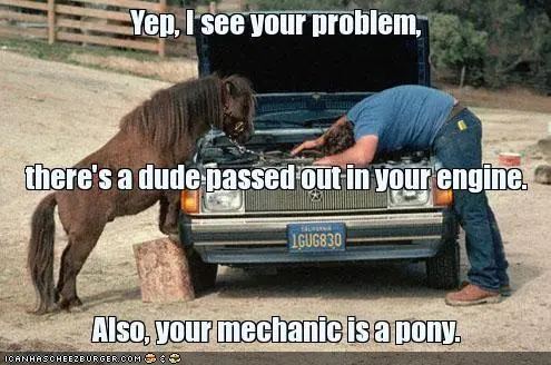 funny-pictures-pony-mechanic[1].webp