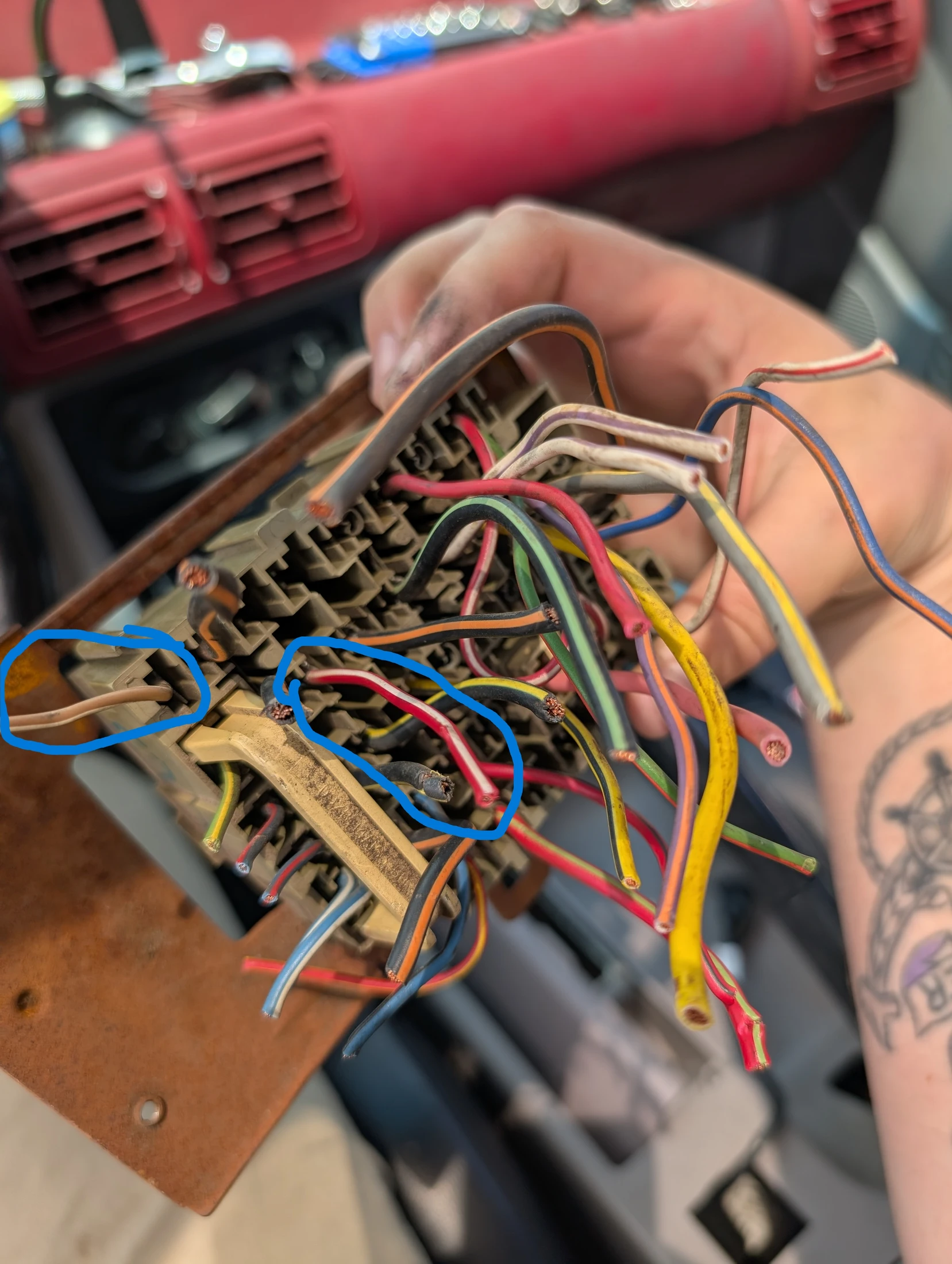 Fuse box wiring edit.webp