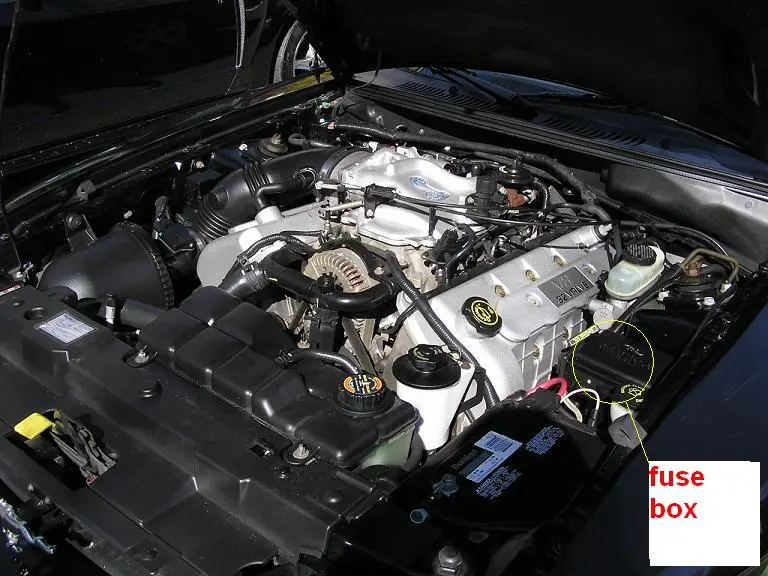 fusebox8pn.webp