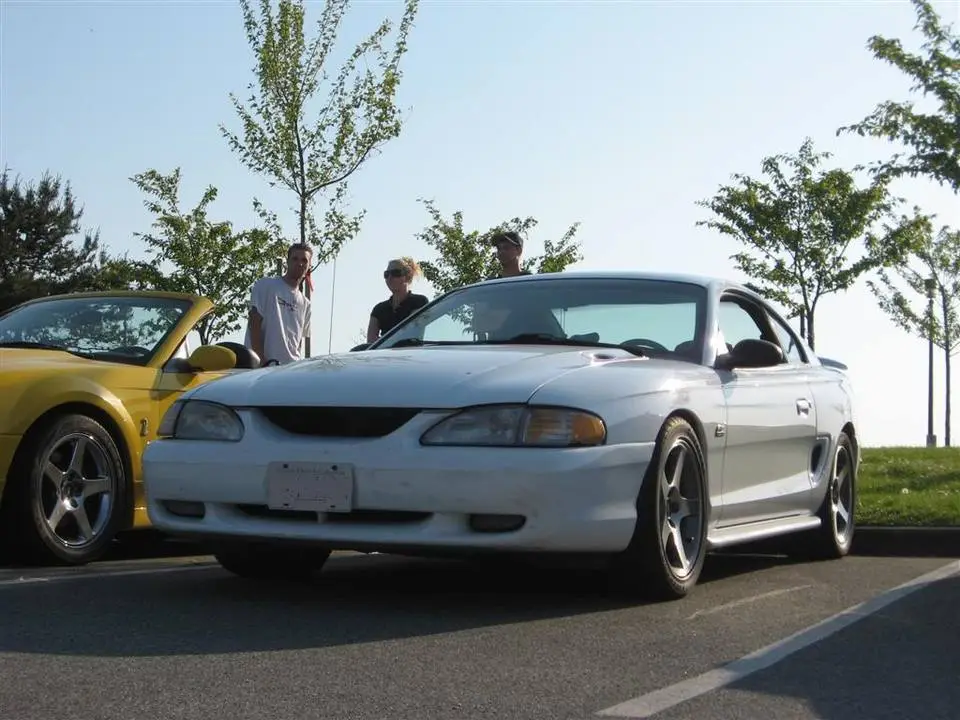 g1.webp