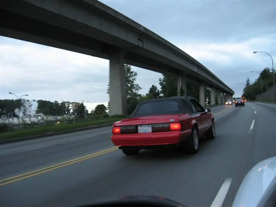 g10.webp