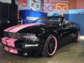 galpin-warrior-pink.webp