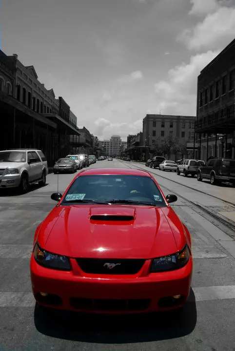GALV2.webp