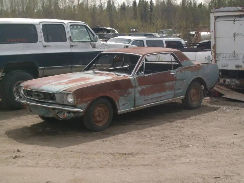 GEDC0611.webp