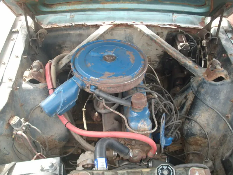 GEDC0613.webp