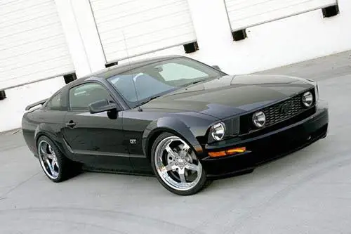 gfgstang2.webp