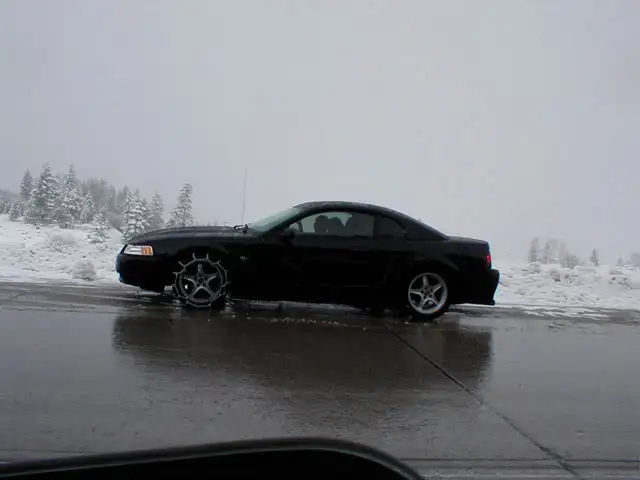 girlmustang.webp