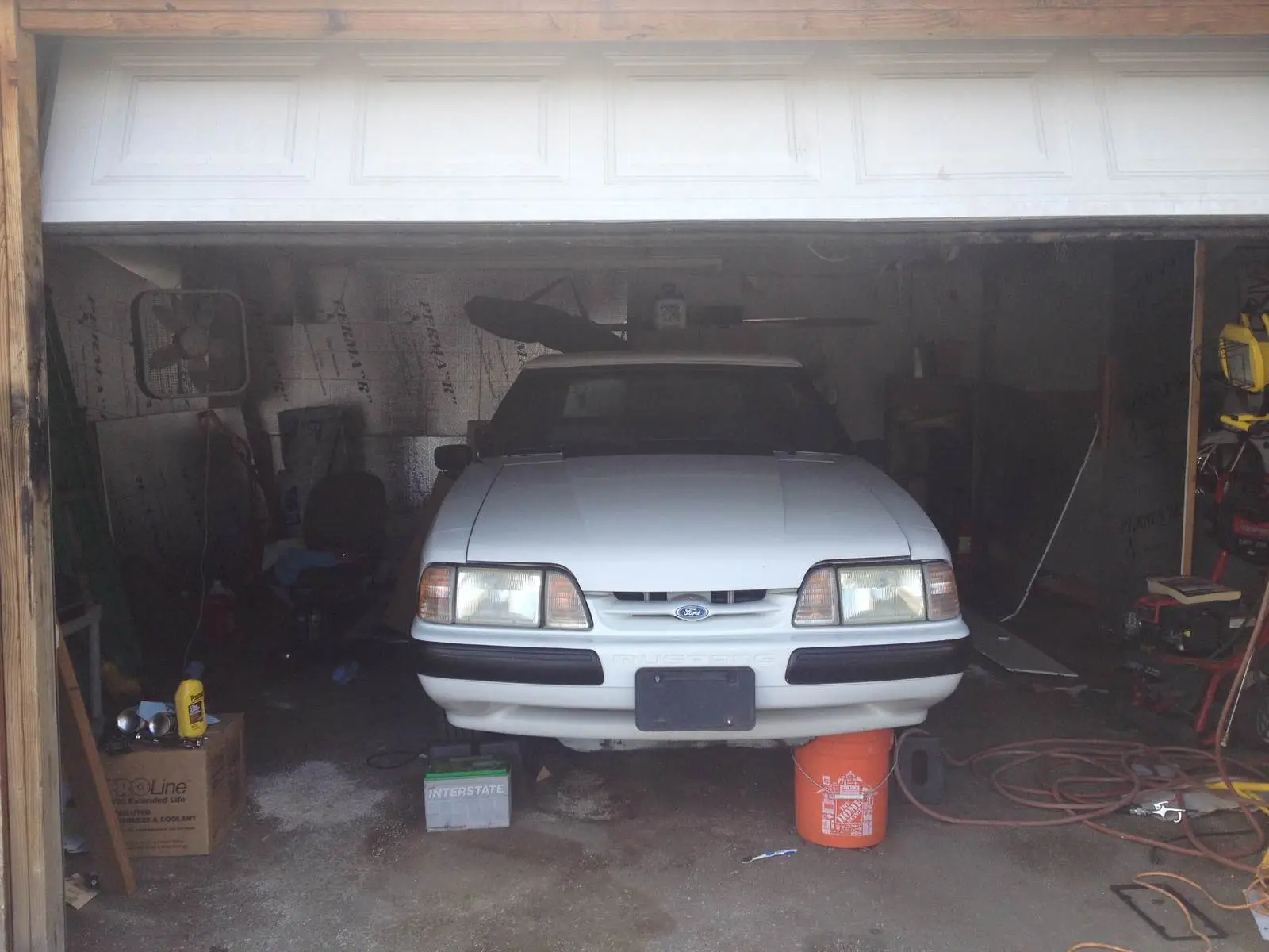 GMustang.webp