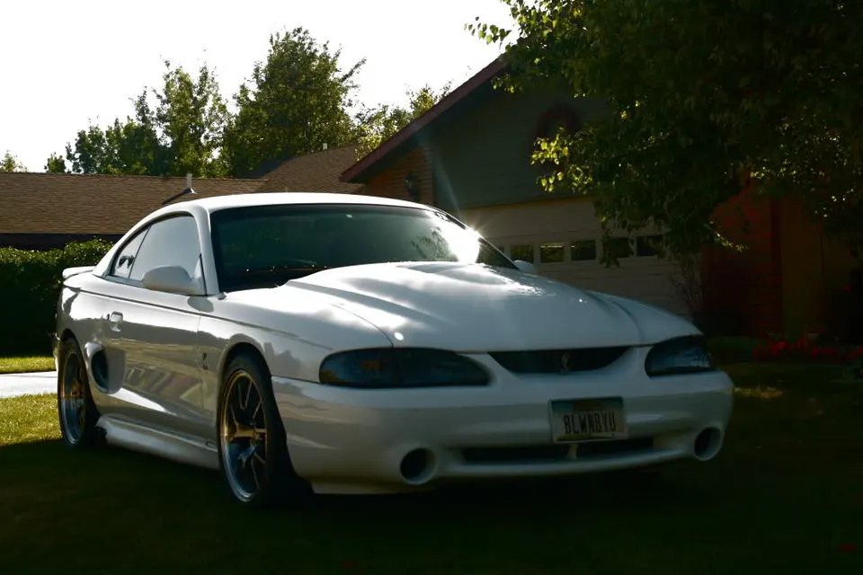 GOODcobra.webp