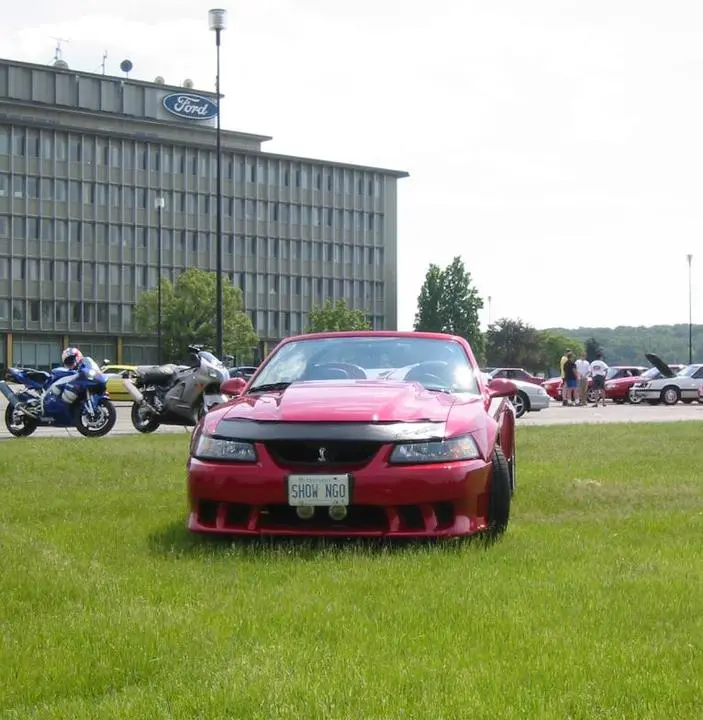 Grass1.webp