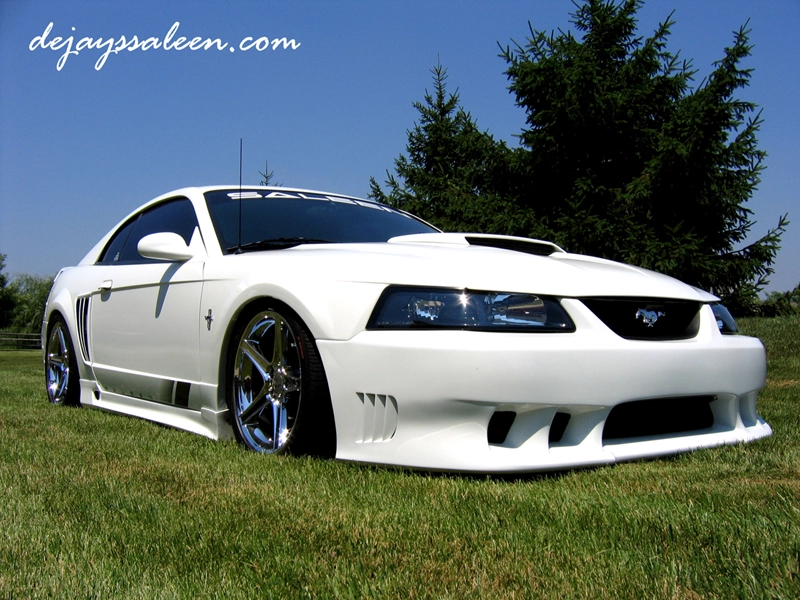 grass800.webp