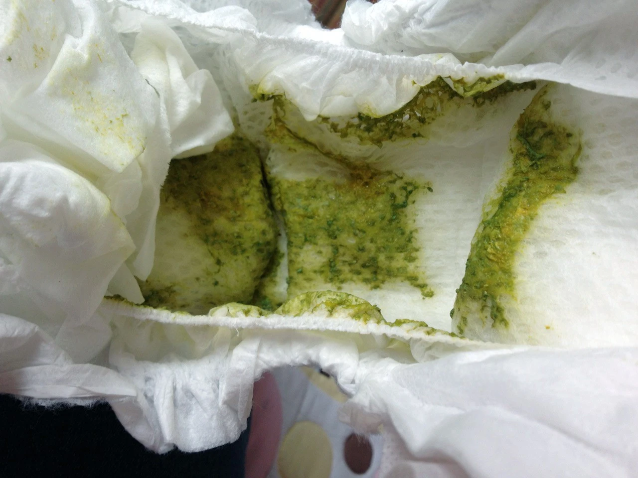 green-nappy2-e1404119407581.webp
