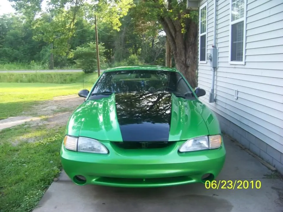 green5.webp