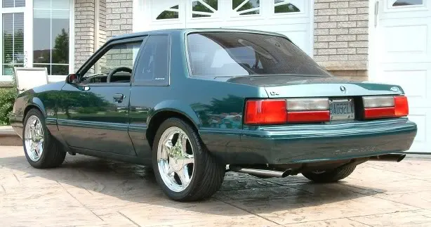 Greenponies.webp
