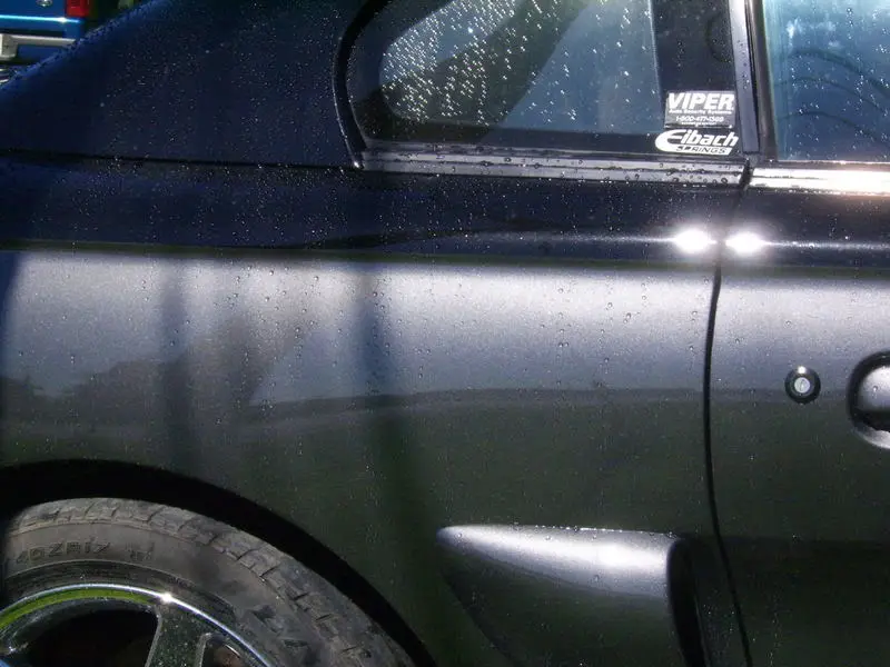 GreyStang10.webp