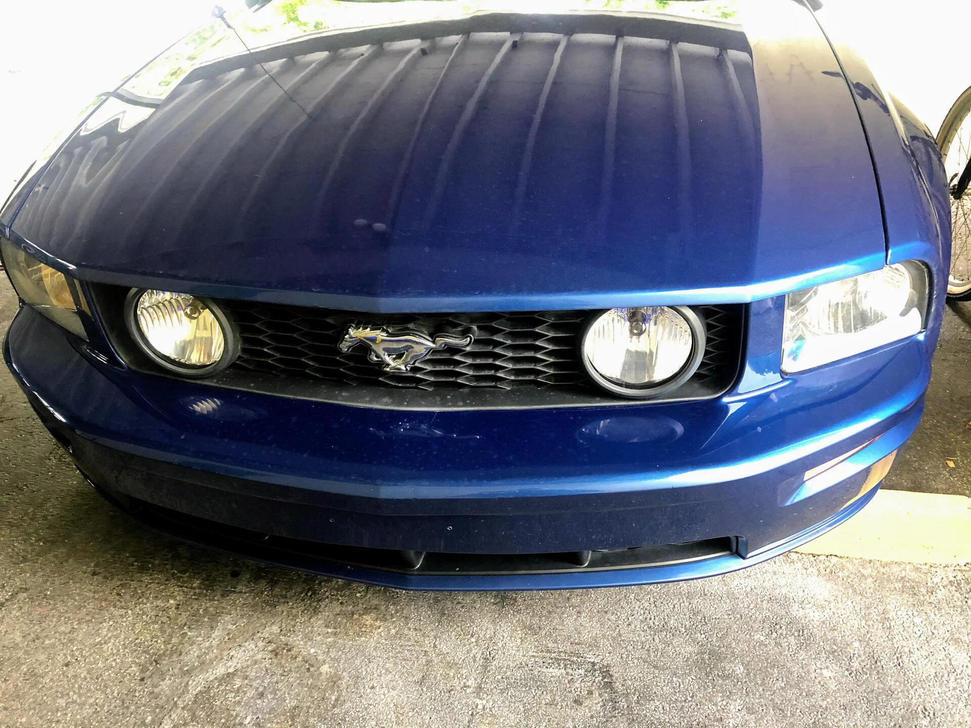 Grill.webp