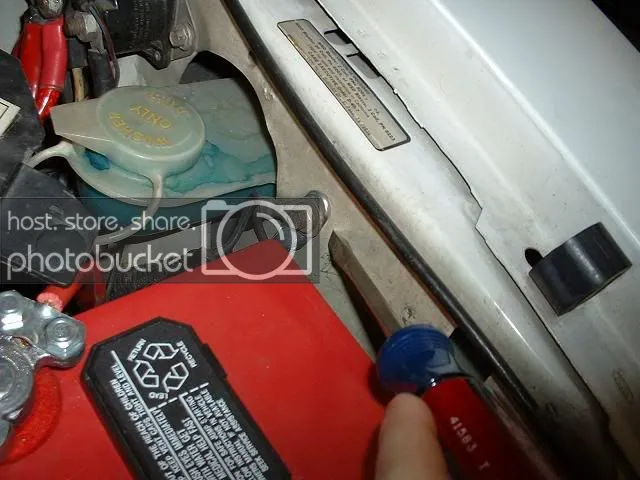 ground.webp