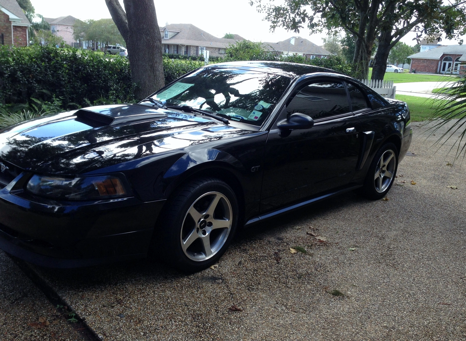 gt 014.webp