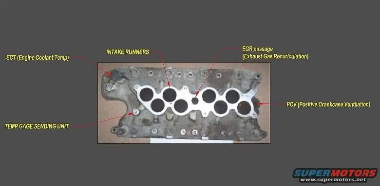 GT-40%20lower%20intake.webp