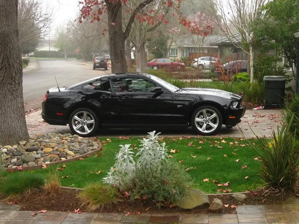 GT14.webp