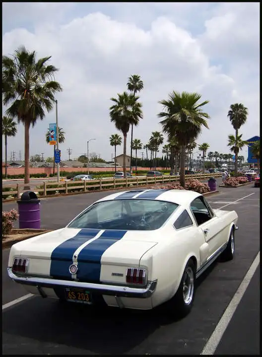 gt350.webp