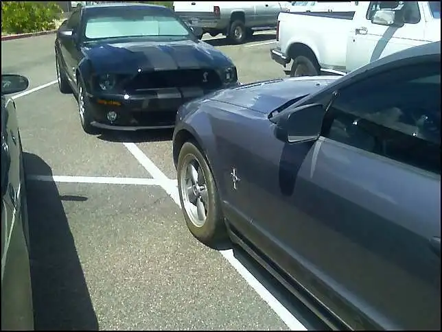 gt500bbeleanore.webp