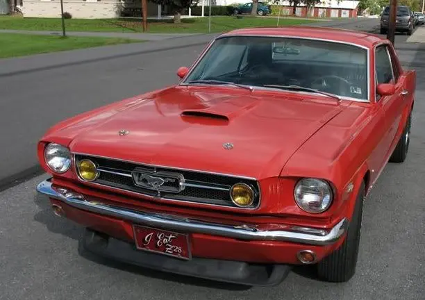 GT_front.webp