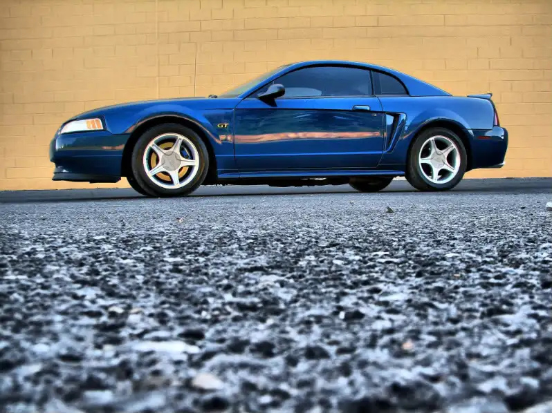 gtdentfree2hdr.webp