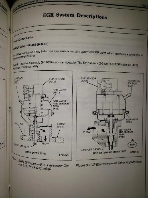 H4.webp