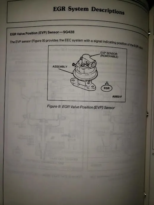 H5.webp