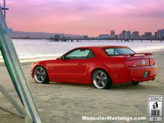 hardtopstang.webp