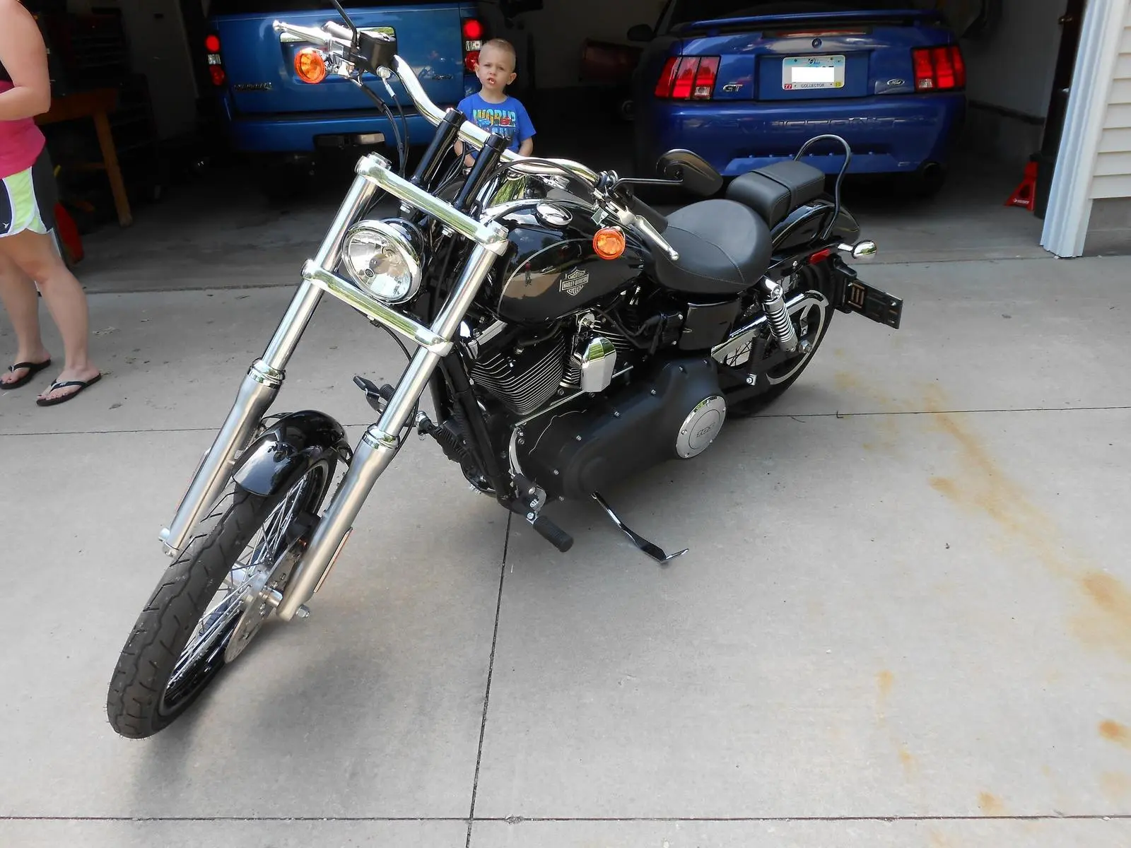 harley.webp
