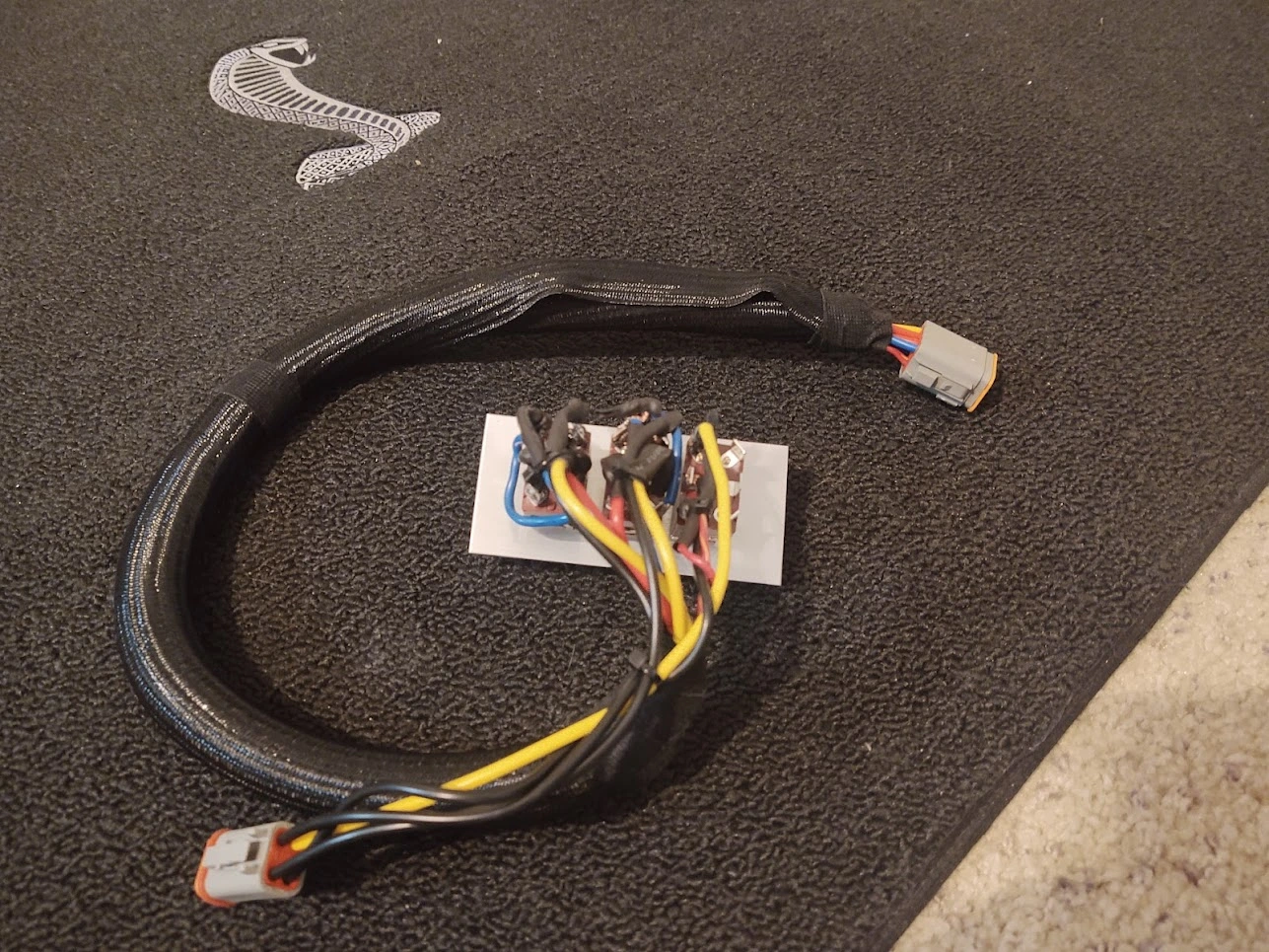 harness.jpg