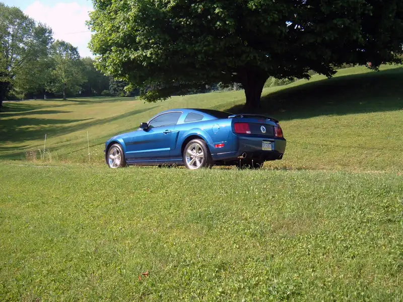 harrisfarm015.webp