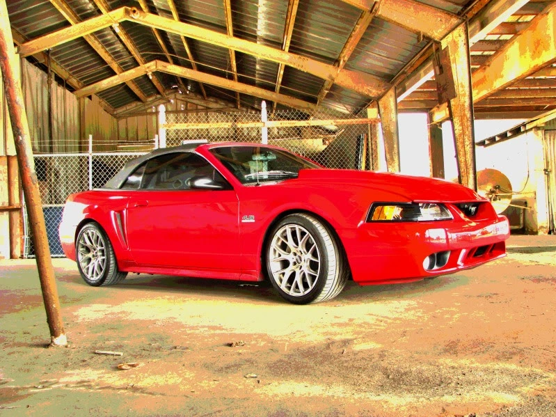 HDR1586.webp