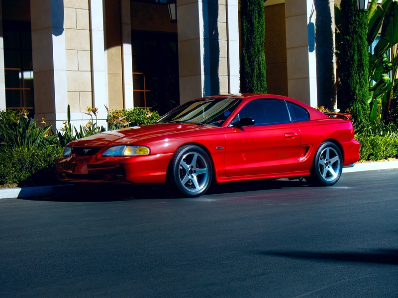 HDRStang1Resized.webp