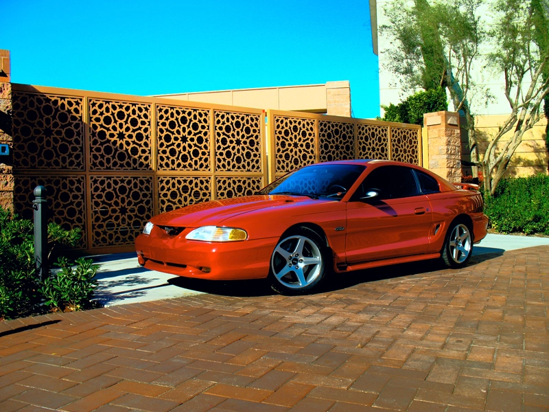 HDRStang2Resized.webp