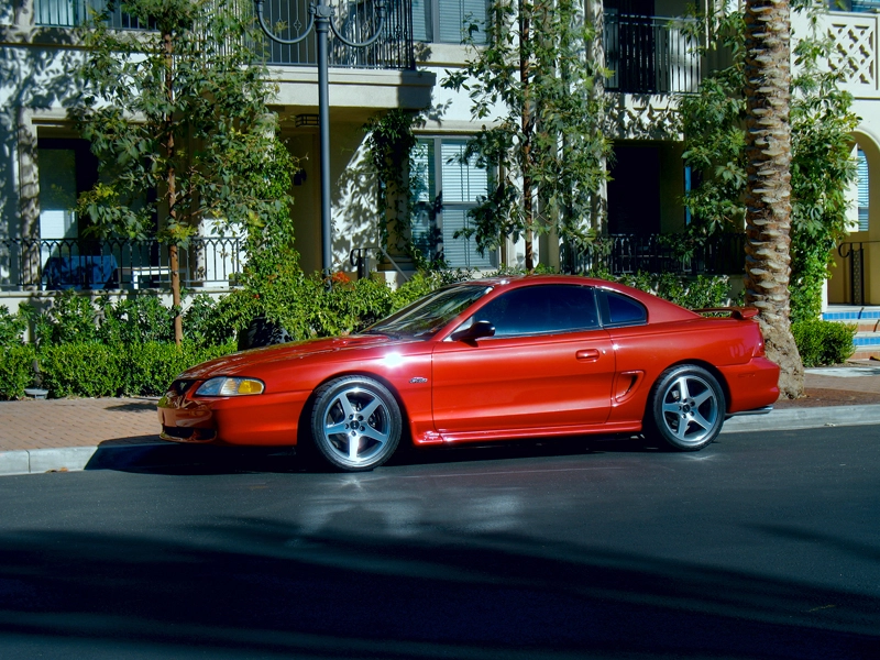HDRStang4Resized.webp