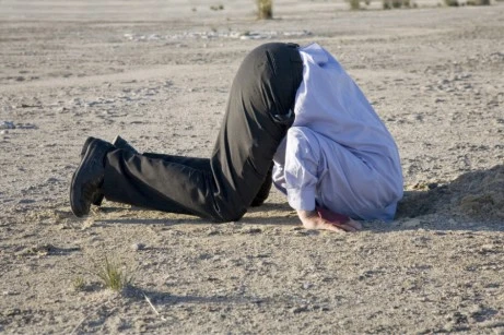 head_in_the_sand-461x307.webp