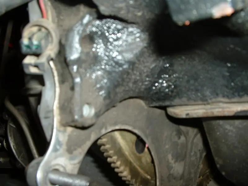 headers005.webp