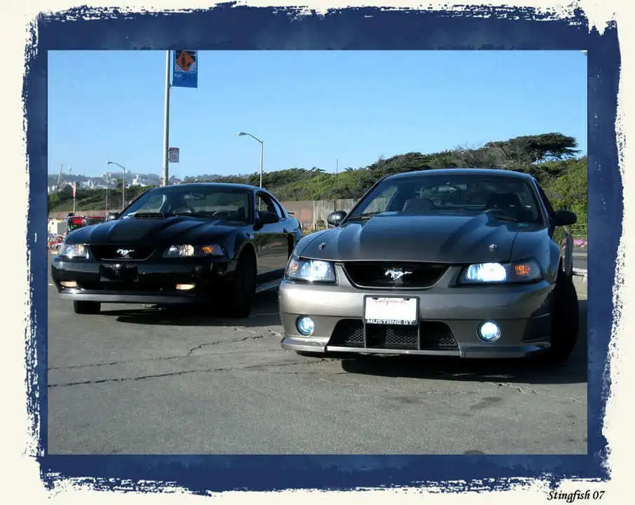 headlightsframedresize.webp