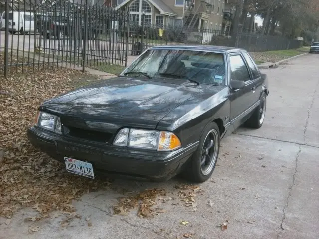 headlightsnew.webp
