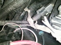 help5.th.webp