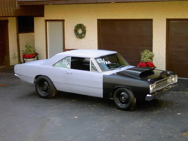 Hemi_dart_015.webp